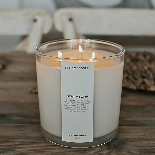 SUSTAINABILITY IN OUR DNA: HOW FOX & WOLF IS CREATING A GREENER FUTURE