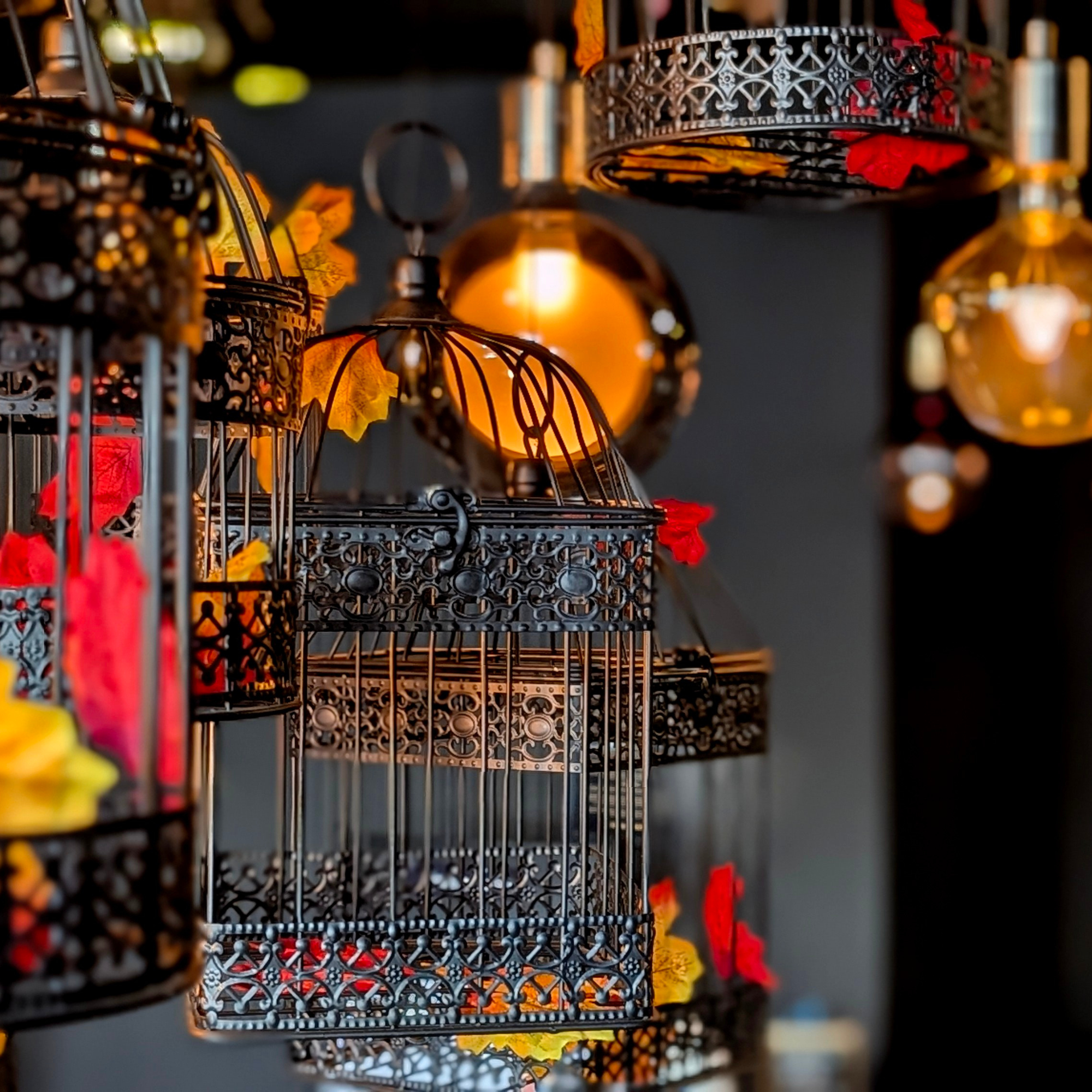 FOX and WOLF boutique store at Flamenca Beach Orihuela Costa Spain